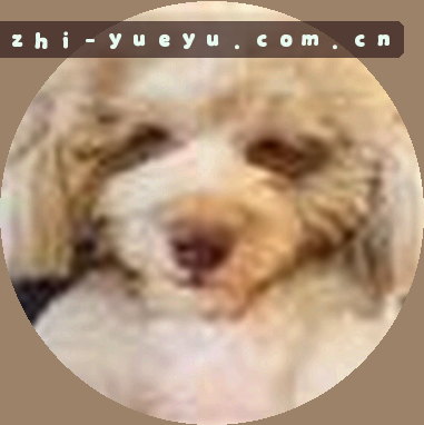 陈旭